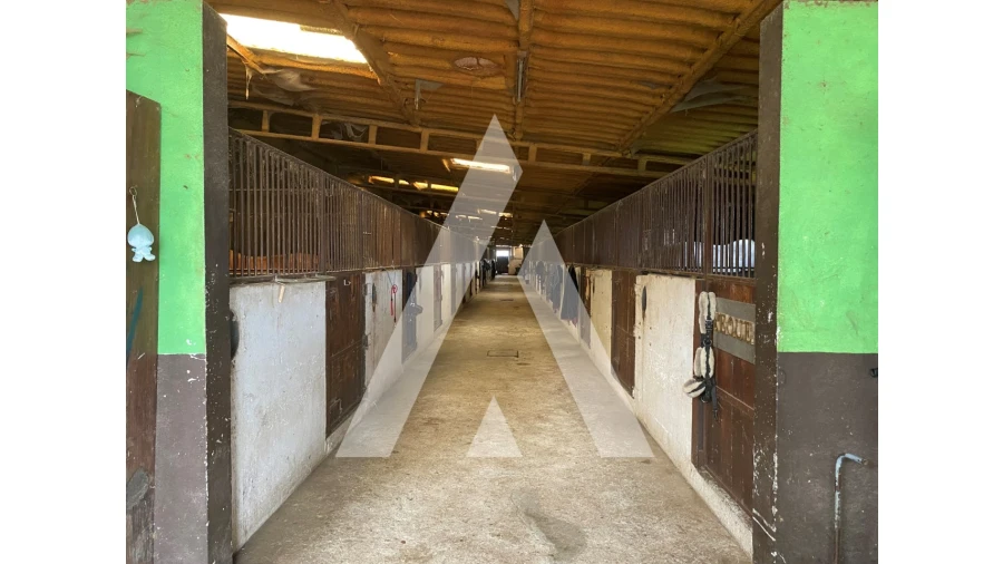 Quinta para Venda em Fermentões Foto 12