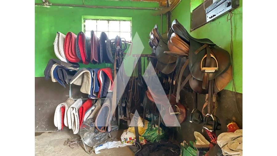 Quinta para Venda em Fermentões Foto 11