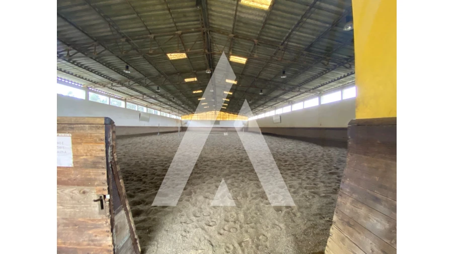 Quinta para Venda em Fermentões Foto 21