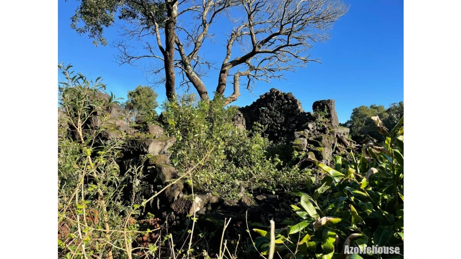 Terreno para Venda em Santo Antonio Foto 13