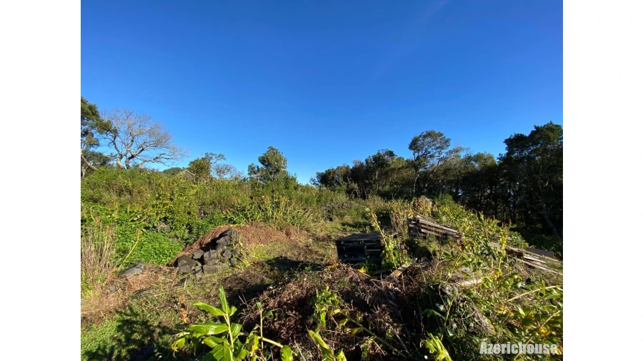 Terreno para Venda em Santo Antonio Foto 15
