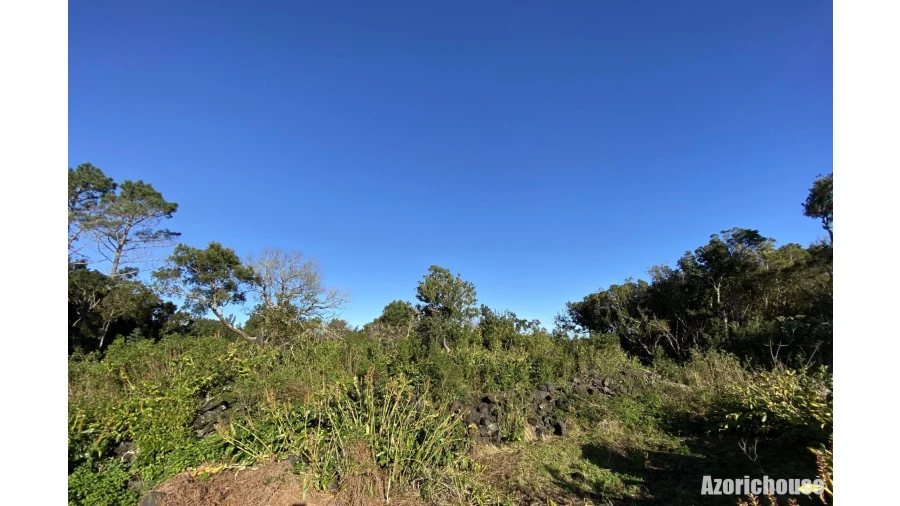 Terreno para Venda em Santo Antonio Foto 9
