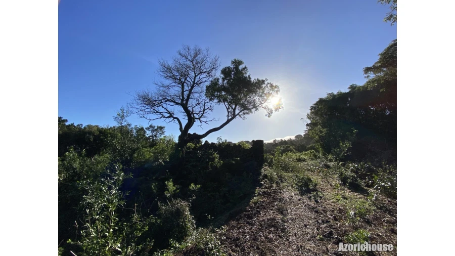 Terreno para Venda em Santo Antonio Foto 10