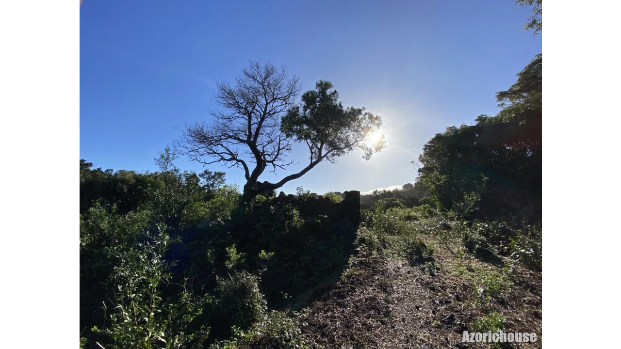 Terreno para Venda em Santo Antonio Foto 10