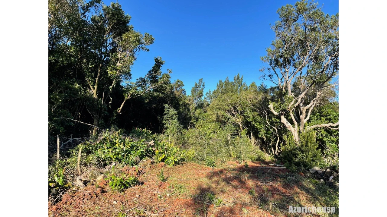 Terreno para Venda em Santo Antonio Foto 8