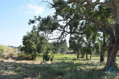Terreno para Venda em Amor