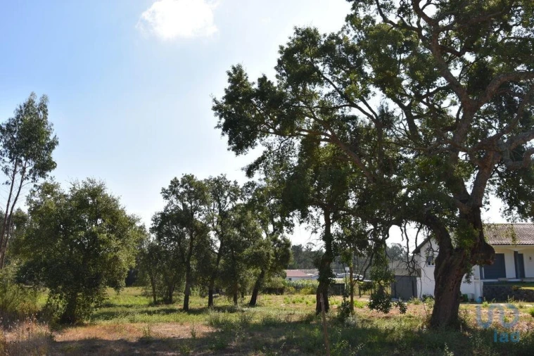 Terreno para Venda em Amor Foto 7