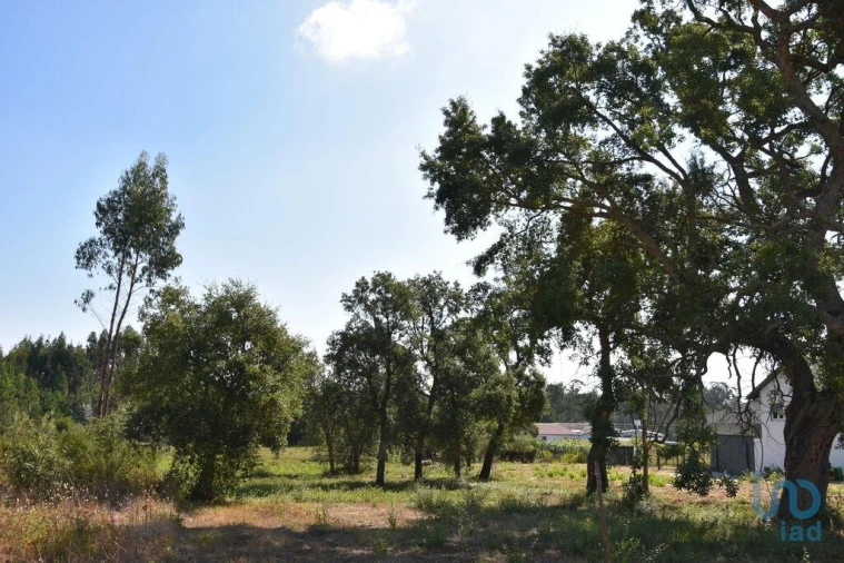 Terreno para Venda em Amor Foto 6