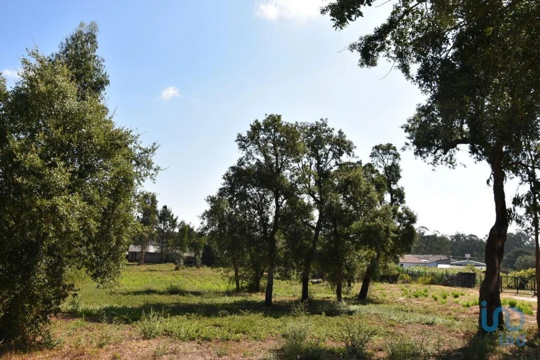 Terreno para Venda em Amor Foto 8