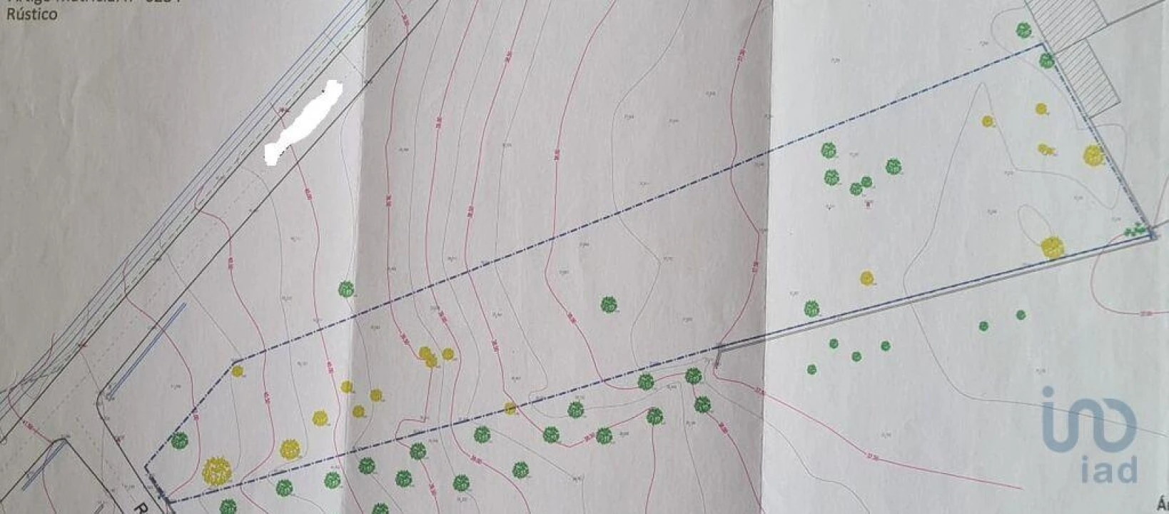 Terreno para Venda em Amor Foto 12