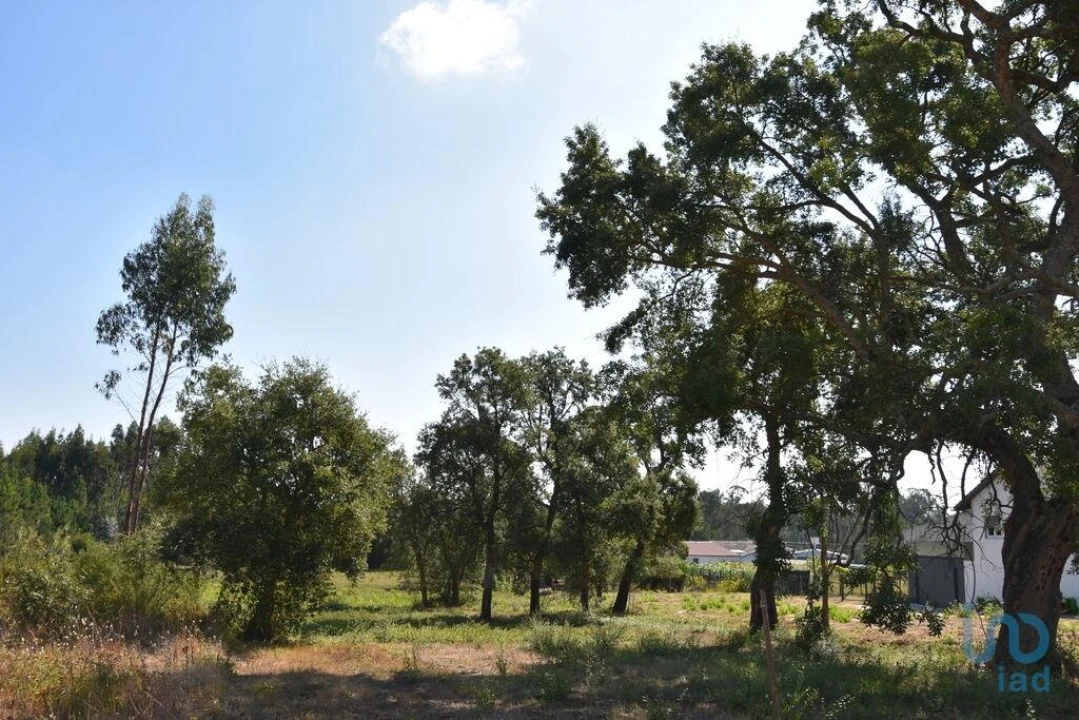 Terreno para Venda em Amor Foto 6