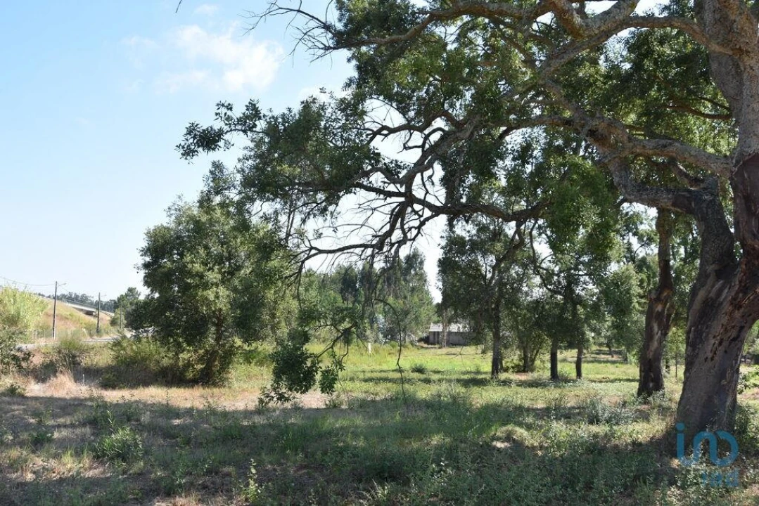 Terreno para Venda em Amor Foto 2