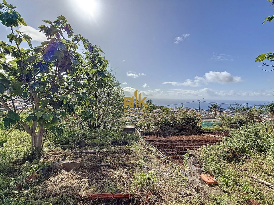 Quinta T8 para Venda em São Roque Foto 63