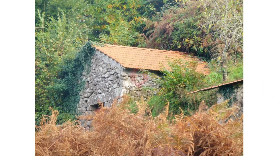 Moradia T0 para Venda em Chaviães e Paços Foto 10