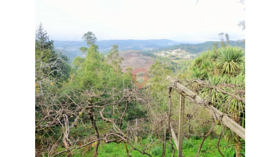Moradia T0 para Venda em Chaviães e Paços Foto 9