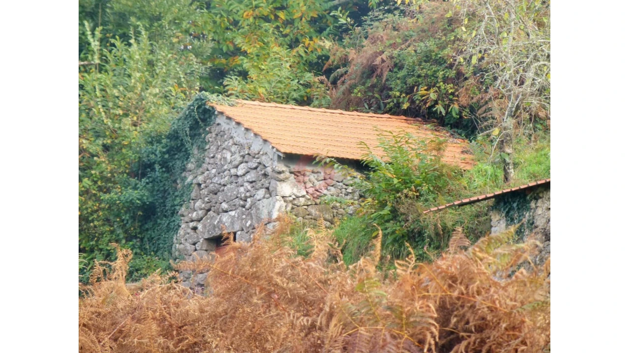 Moradia T0 para Venda em Chaviães e Paços Foto 10