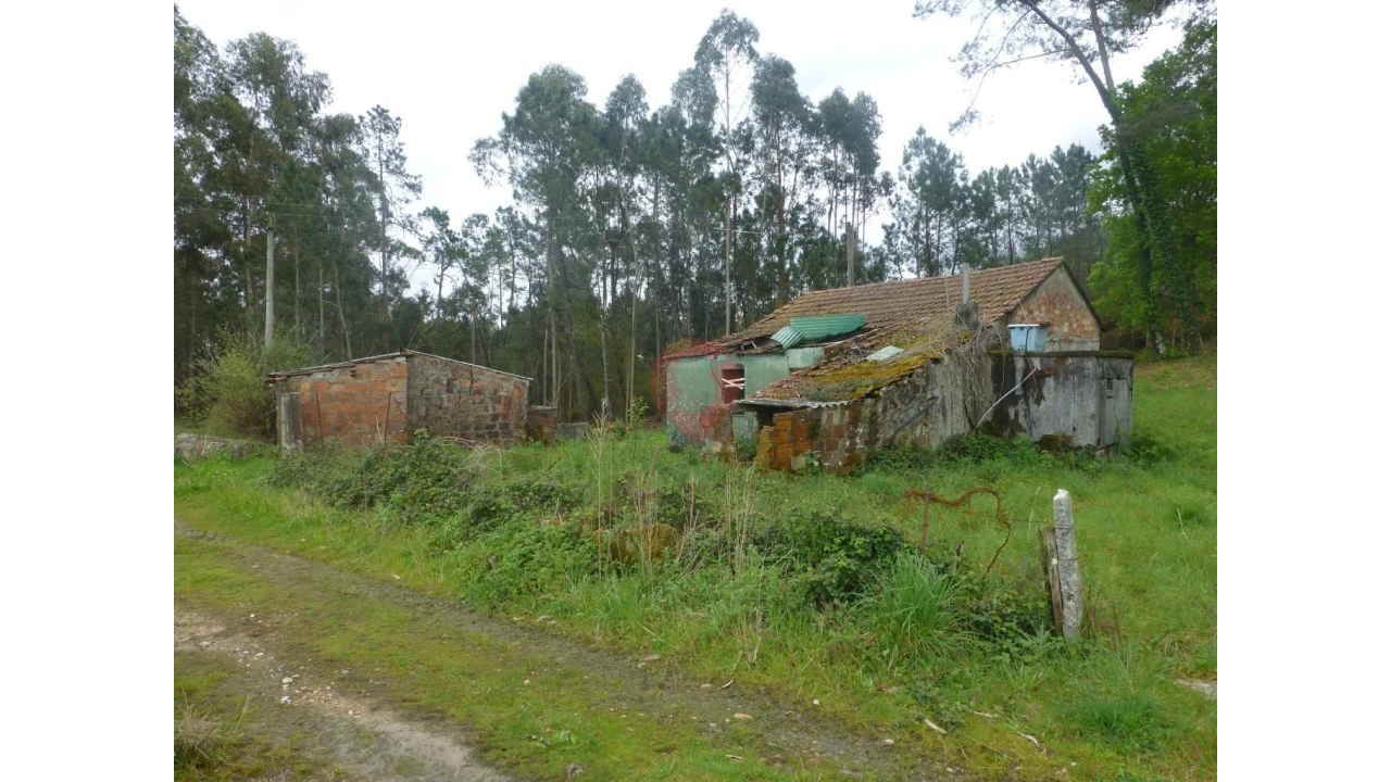 Moradia T0 para Venda em Ganfei Foto 4