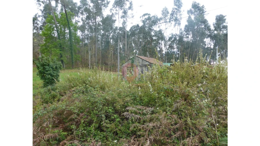 Moradia T0 para Venda em Ganfei Foto 5