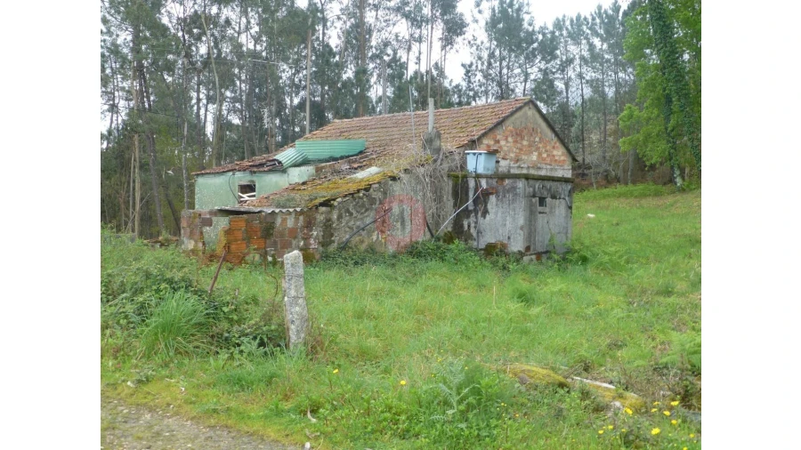 Moradia T0 para Venda em Ganfei Foto 3