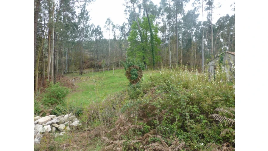 Moradia T0 para Venda em Ganfei Foto 6