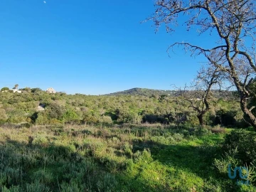 Terreno para Venda em Loule (São Clemente)