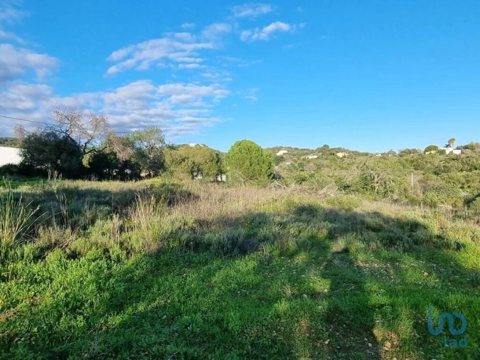 Terreno para Venda em Loule (São Clemente) Foto 4