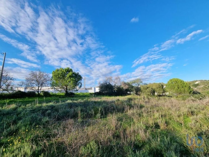 Terreno para Venda em Loule (São Clemente) Foto 3