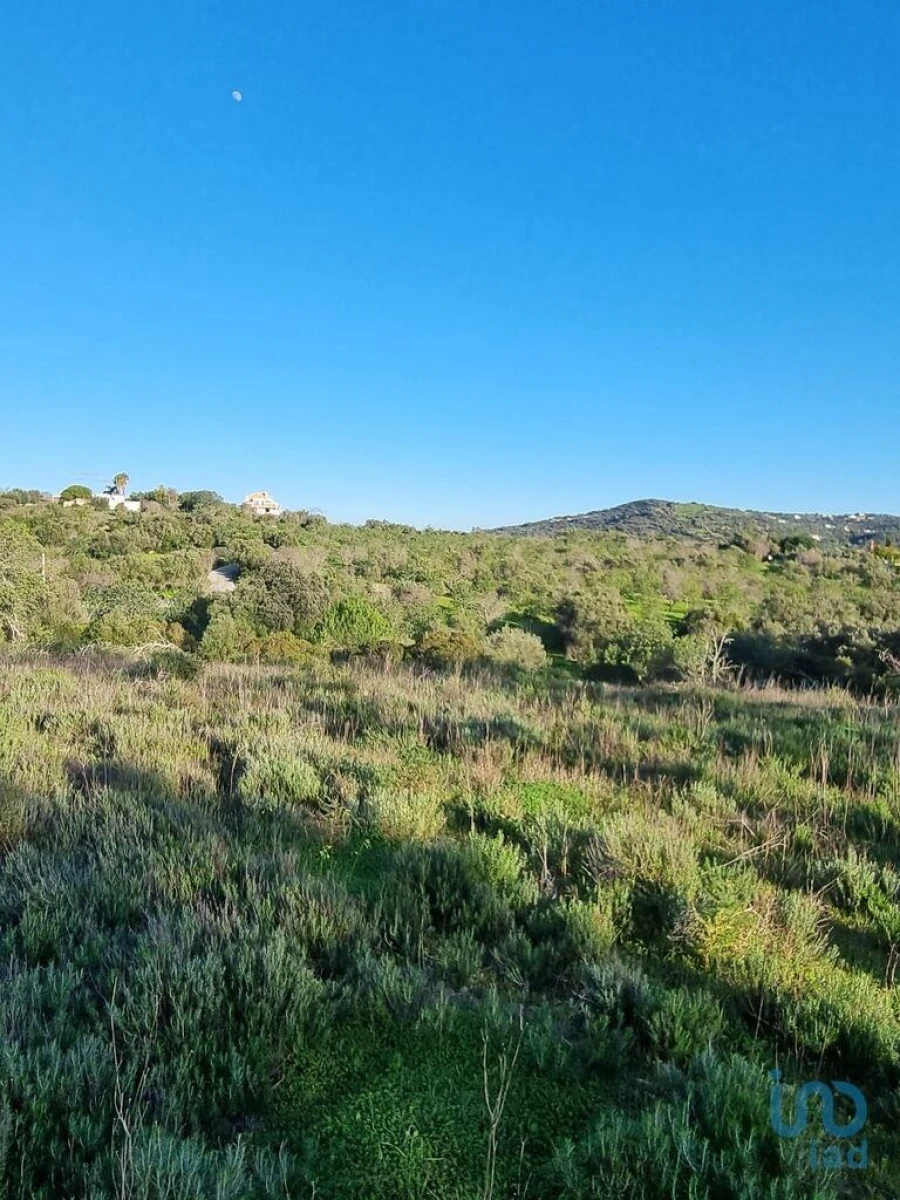 Terreno para Venda em Loule (São Clemente) Foto 8