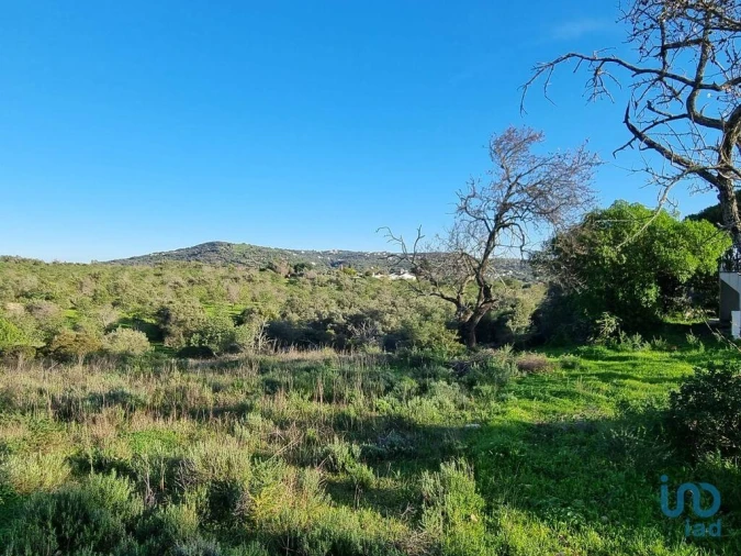 Terreno para Venda em Loule (São Clemente) Foto 9