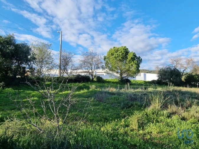 Terreno para Venda em Loule (São Clemente) Foto 2
