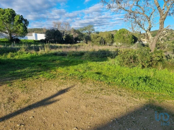 Terreno para Venda em Loule (São Clemente) Foto 12