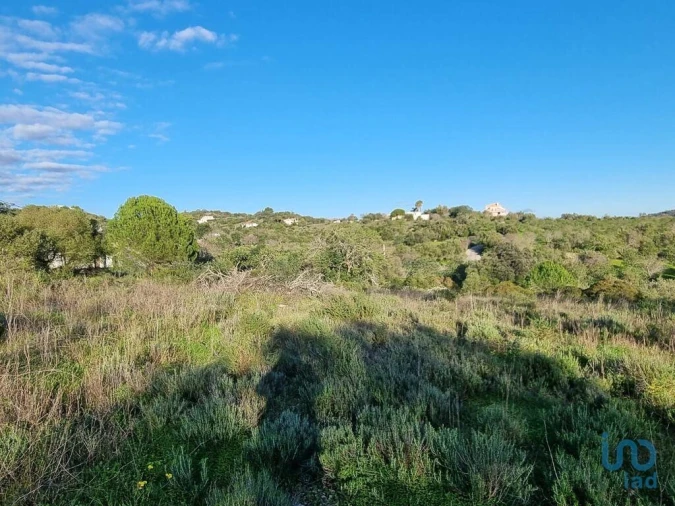 Terreno para Venda em Loule (São Clemente) Foto 5