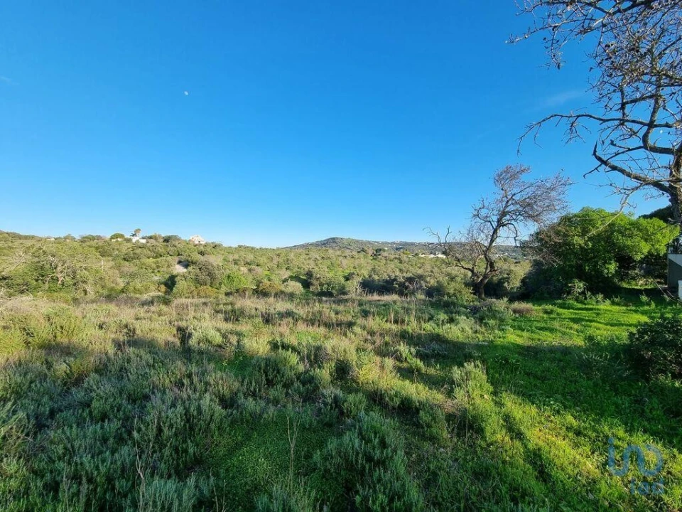 Terreno para Venda em Loule (São Clemente) Foto 10