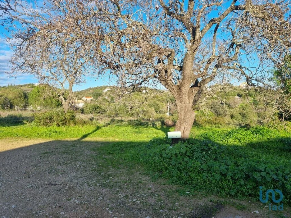 Terreno para Venda em Loule (São Clemente) Foto 11