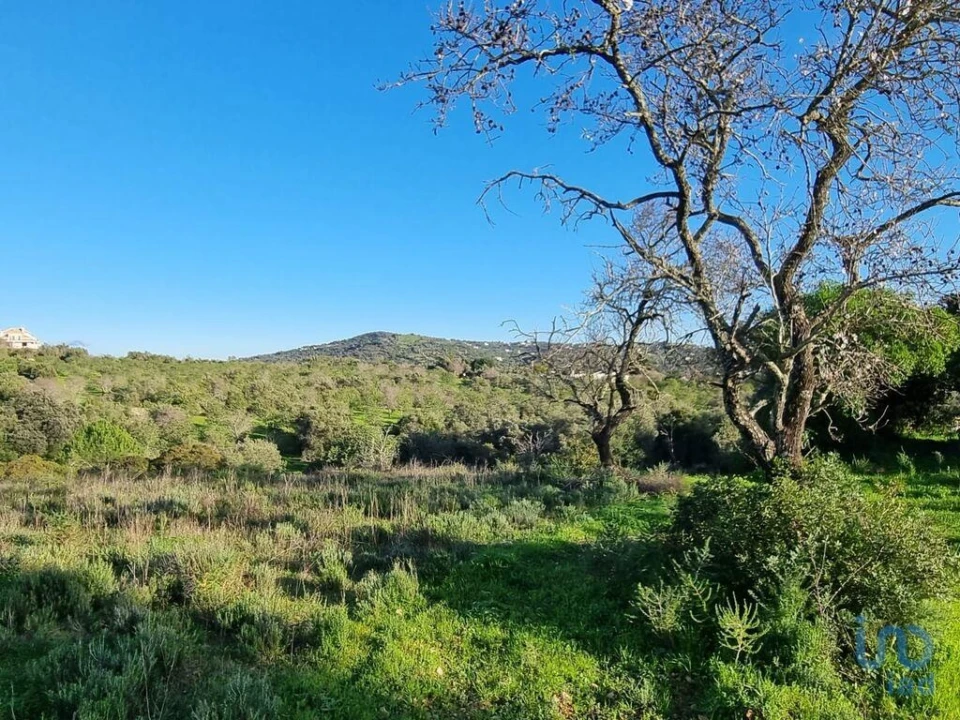 Terreno para Venda em Loule (São Clemente) Foto 7