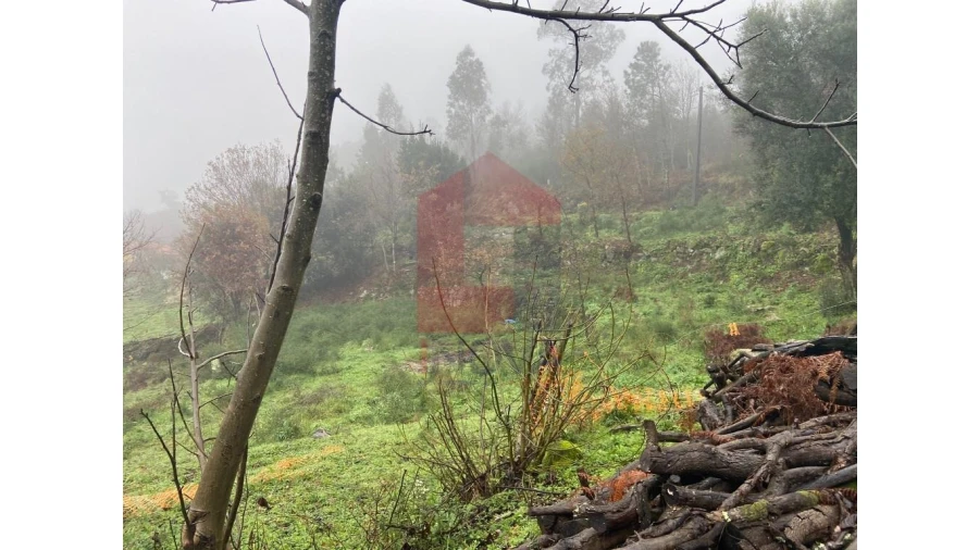 Terreno para Venda em Sande, Vilarinho, Barros e Gomide Foto 6