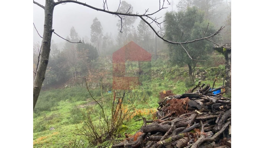 Terreno para Venda em Sande, Vilarinho, Barros e Gomide Foto 5
