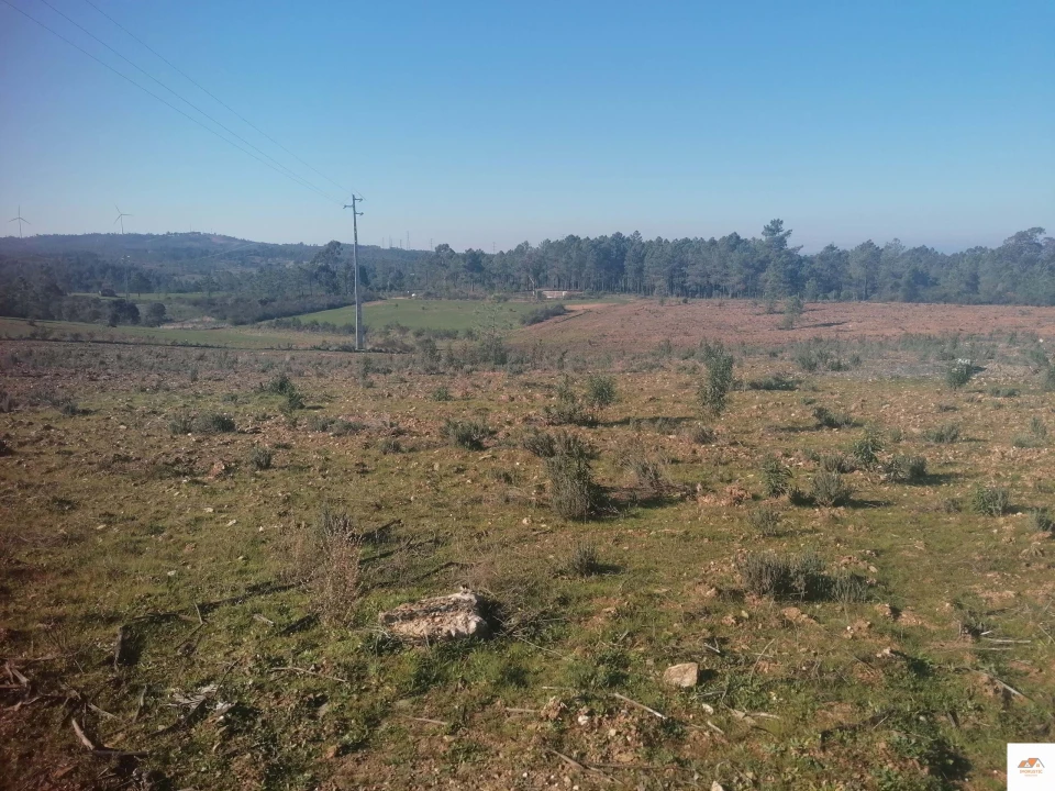 Terreno para Venda em Benquerenças Foto 4