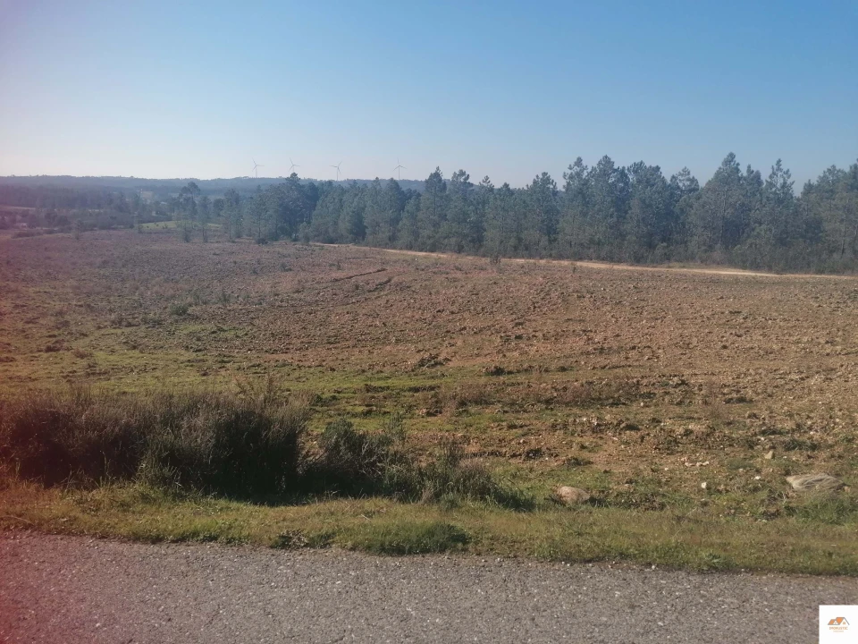 Terreno para Venda em Benquerenças Foto 17