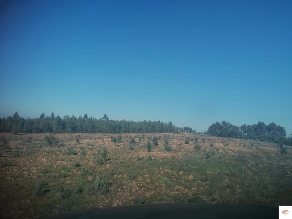 Terreno para Venda em Benquerenças Foto 6