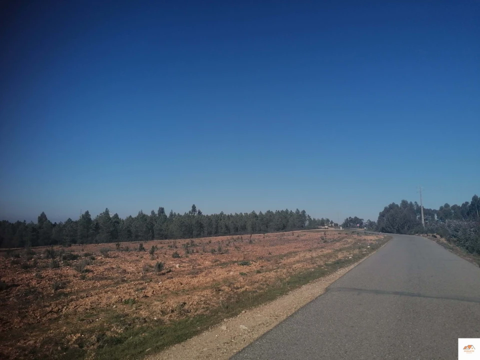 Terreno para Venda em Benquerenças Foto 9