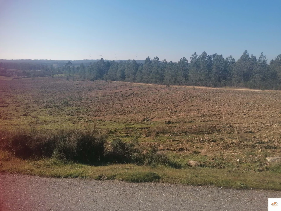 Terreno para Venda em Benquerenças Foto 16