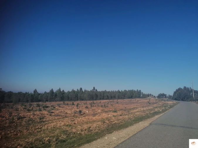 Terreno para Venda em Benquerenças Foto 8
