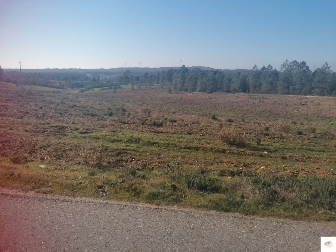 Terreno para Venda em Benquerenças Foto 13