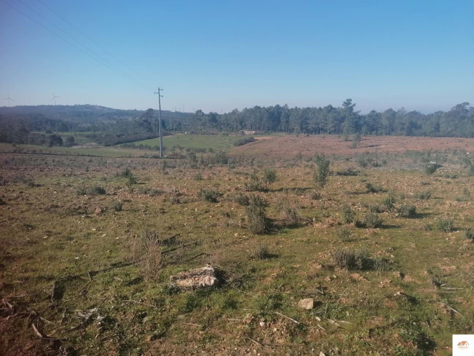 Terreno para Venda em Benquerenças Foto 4