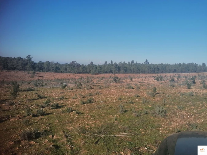 Terreno para Venda em Benquerenças Foto 5