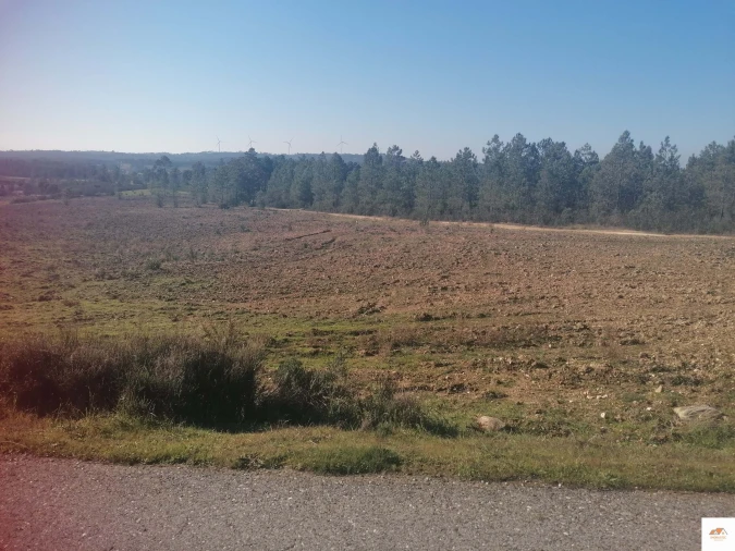 Terreno para Venda em Benquerenças Foto 17