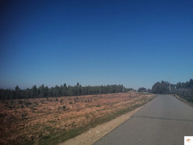 Terreno para Venda em Benquerenças Foto 9