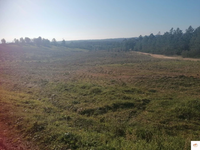 Terreno para Venda em Benquerenças Foto 3