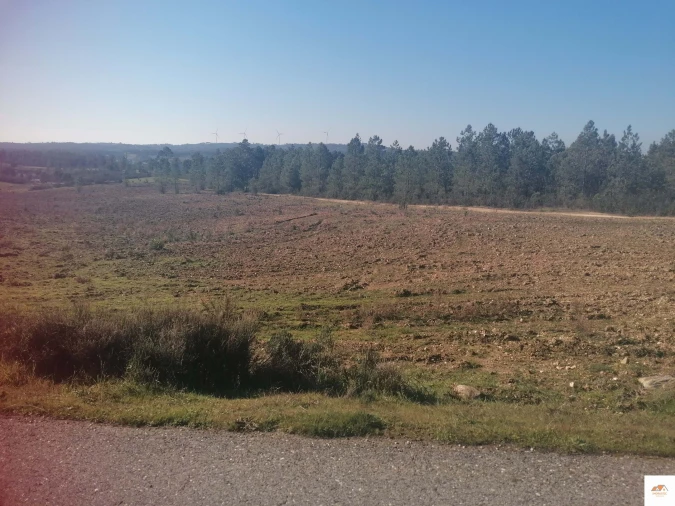 Terreno para Venda em Benquerenças Foto 16